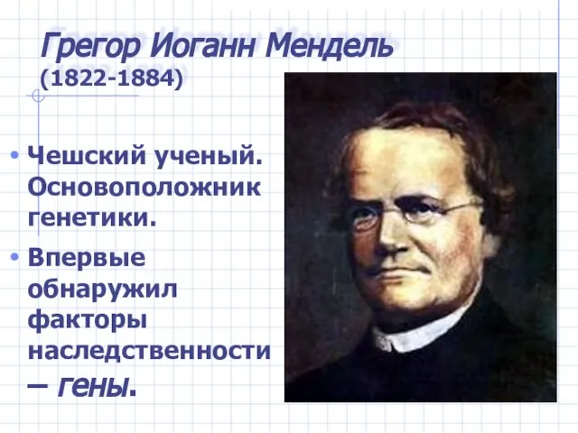 Грегор Иоганн Мендель (1822-1884) Чешский ученый. Основоположник генетики. Впервые обнаружил факторы наследственности – гены.