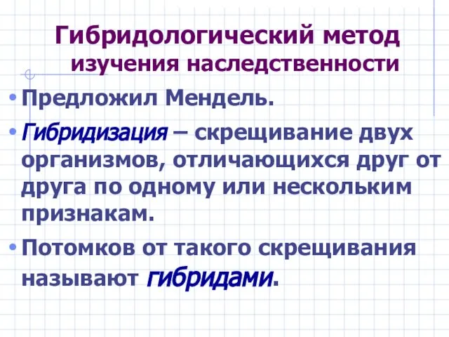 Гибридологический метод изучения наследственности Предложил Мендель. Гибридизация – скрещивание двух организмов, отличающихся