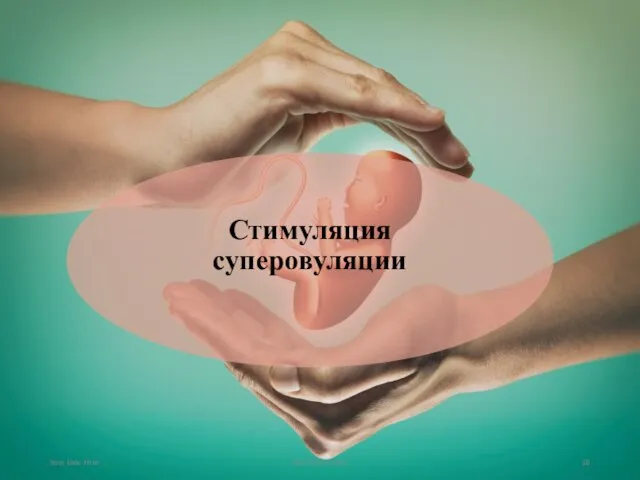 Your Date Here Your Footer Here Стимуляция суперовуляции