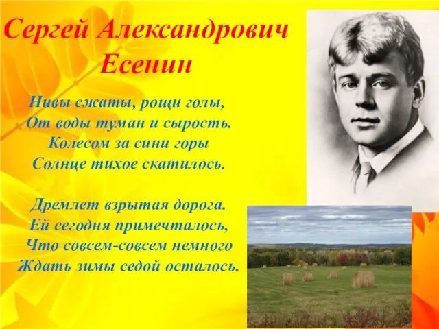 Сергей Александрович Есенин Нивы сжаты, рощи голы, От воды туман и сырость.