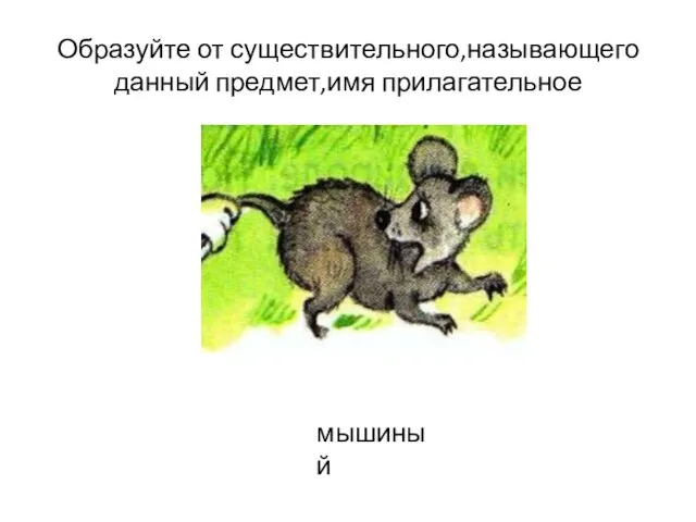 Образуйте от существительного,называющего данный предмет,имя прилагательное мышиный