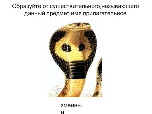 Образуйте от существительного,называющего данный предмет,имя прилагательное змеиный
