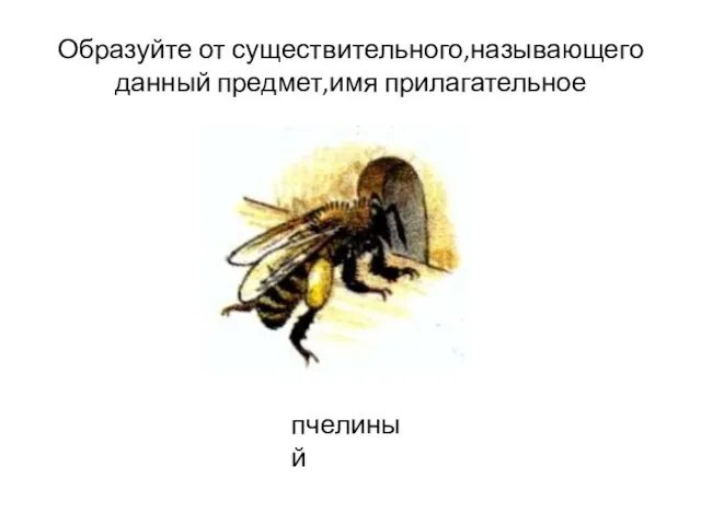 Образуйте от существительного,называющего данный предмет,имя прилагательное пчелиный