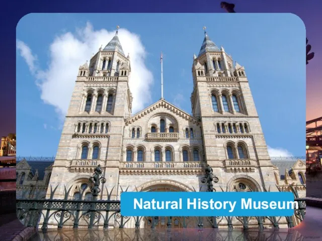 Natural History Museum