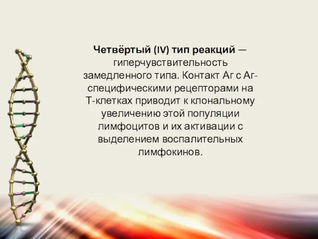 Четвёртый (IV) тип реакций — гиперчувствительность замедленного типа. Контакт Аг с Аг-специфическими