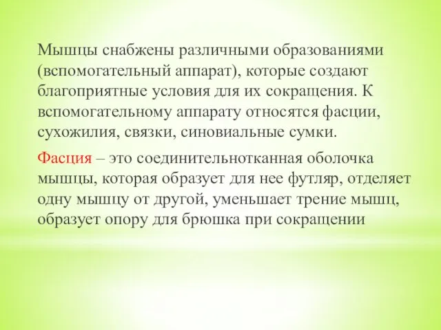 Мышцы снабжены различными образованиями (вспомогательный аппарат), которые создают благоприятные условия для их