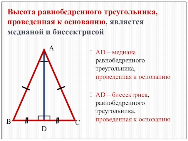 Высота равнобедренного треугольника, проведенная к основанию, является медианой и биссектрисой В С