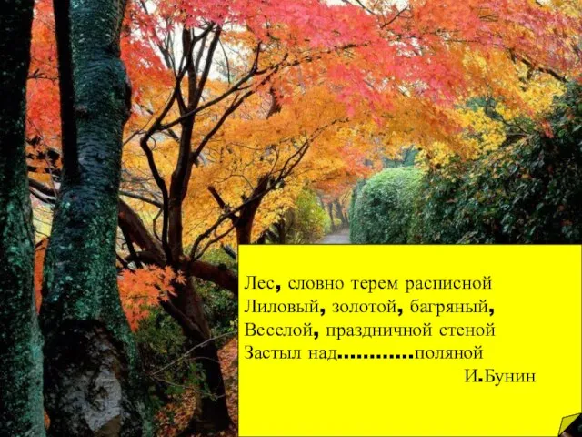 Лес, словно терем расписной Лиловый, золотой, багряный, Веселой, праздничной стеной Застыл над…………поляной И.Бунин