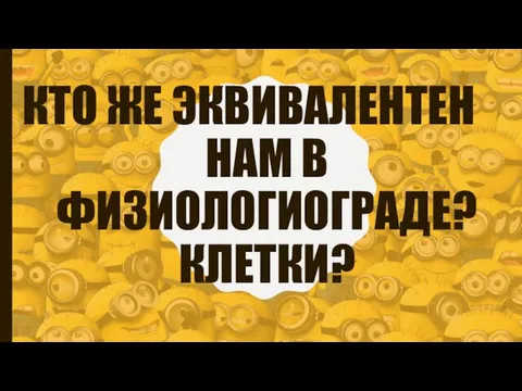 КТО ЖЕ ЭКВИВАЛЕНТЕН НАМ В ФИЗИОЛОГИОГРАДЕ? КЛЕТКИ?