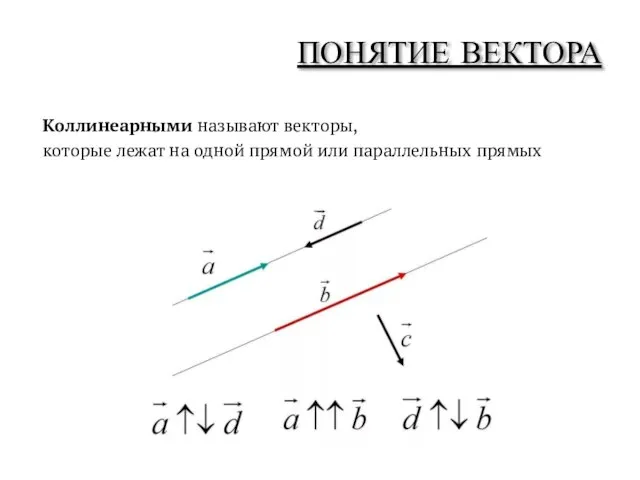 Коллинеарными называют векторы, которые лежат на одной прямой или параллельных прямых ПОНЯТИЕ ВЕКТОРА