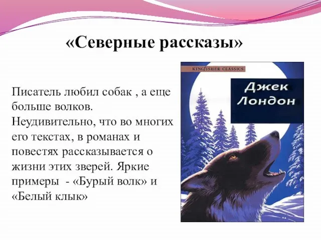 «Северные рассказы» Писатель любил собак , а еще больше волков. Неудивительно, что