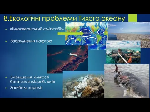 8.Екологічні проблеми Тихого океану «Тихоокеанський сміттєобіг» Забруднення нафтою Зменшення кількості багатьох видів риб, китів Загибель коралів