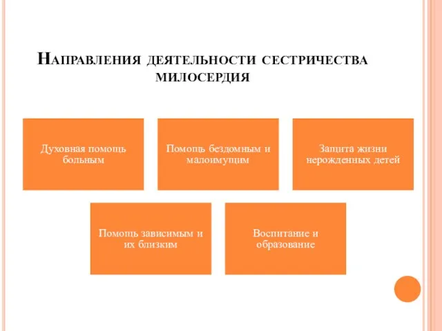 Направления деятельности сестричества милосердия Духовная помощь больным Помощь бездомным и малоимущим Защита