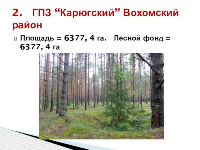 Площадь = 6377, 4 га. Лесной фонд = 6377, 4 га 2. ГПЗ “Карюгский” Вохомский район