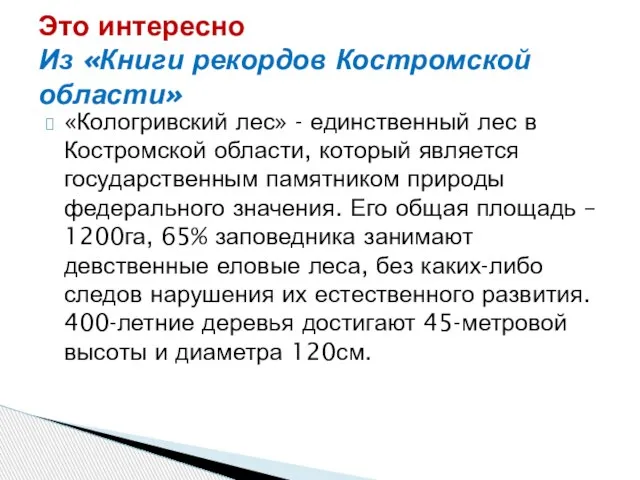 «Кологривский лес» - единственный лес в Костромской области, который является государственным памятником