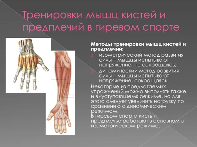 Тренировки мышц кистей и предплечий в гиревом спорте Методы тренировки мышц кистей