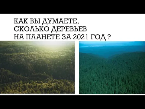 КАК ВЫ ДУМАЕТЕ, СКОЛЬКО ДЕРЕВЬЕВ НА ПЛАНЕТЕ ЗА 2021 ГОД ?