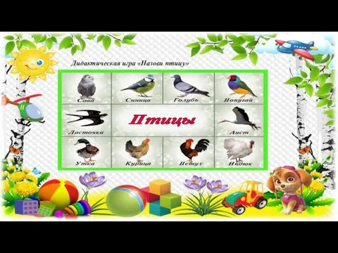Дидактическая игра «Назови птицу»