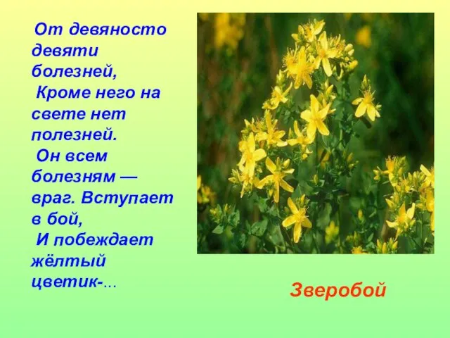 От девяносто девяти болезней, Кроме него на свете нет полезней. Он всем