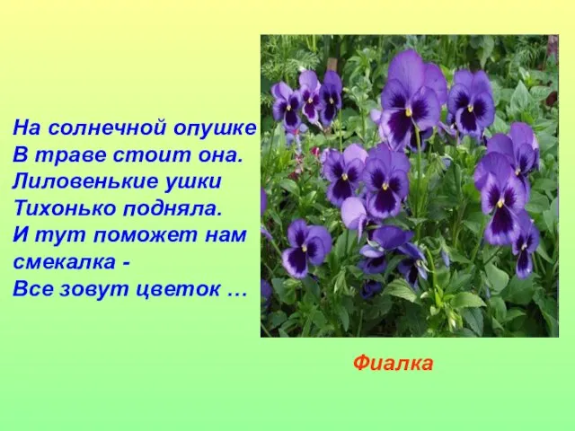 На солнечной опушке В траве стоит она. Лиловенькие ушки Тихонько подняла. И