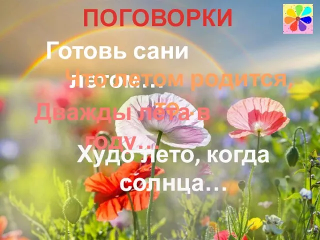 ПОГОВОРКИ Готовь сани летом… Что летом родится, то… Дважды лета в году… Худо лето, когда солнца…