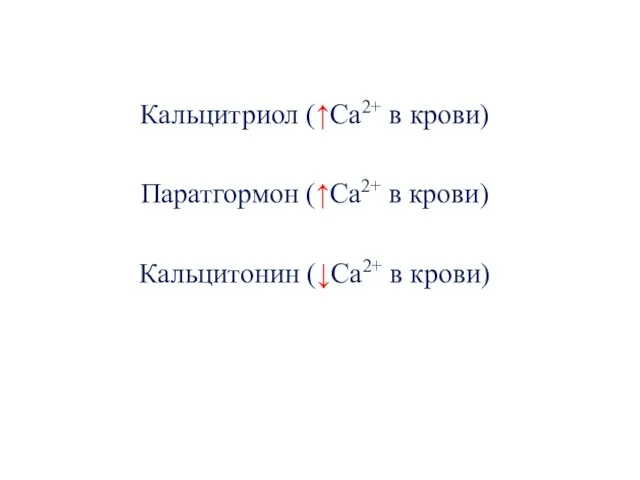 Кальцитриол (↑Са2+ в крови) Паратгормон (↑Са2+ в крови) Кальцитонин (↓Са2+ в крови)