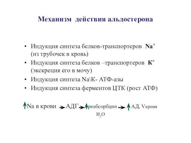 Механизм действия альдостерона Индукция синтеза белков-транспортеров Na+ (из трубочек в кровь) Индукция