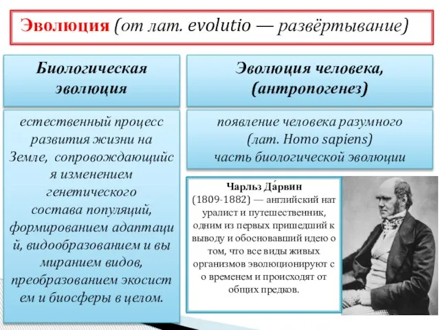 Эволюция (от лат. evolutio — развёртывание) Биологическая эволюция Эволюция человека, (антропогенез) естественный