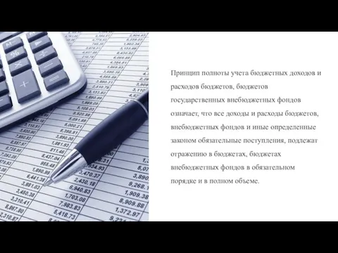 Принцип полноты учета бюджетных доходов и расходов бюджетов, бюджетов государственных внебюджетных фондов