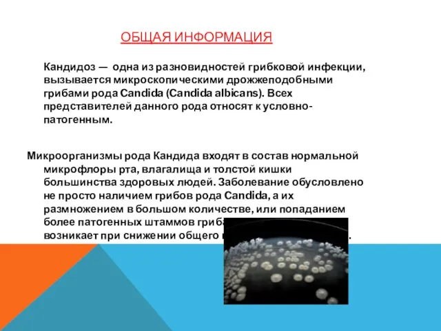 ОБЩАЯ ИНФОРМАЦИЯ Кандидоз — одна из разновидностей грибковой инфекции, вызывается микроскопическими дрожжеподобными