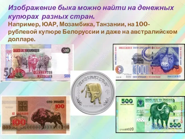 Изображение быка можно найти на денежных купюрах разных стран. Например, ЮАР, Мозамбика,