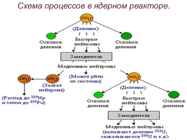 Схема процессов в ядерном реакторе.