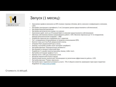 Стоимость 31 800 руб. Запуск (1 месяц):