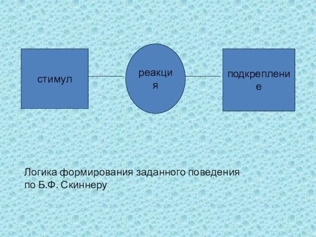 стимул подкрепление реакция Логика формирования заданного поведения по Б.Ф. Скиннеру