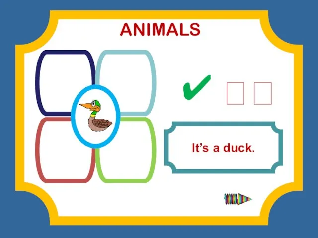 MALS DUCK SNAKE TURTLE DOG It’s a duck. ✔ ? ANIMALS