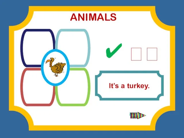 TURKEY TURTLE SNAKE PARROT It’s a turkey. ✔ ? ANIMALS
