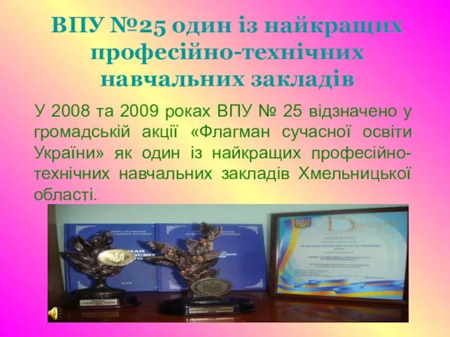 ВПУ №25 один із найкращих професійно-технічних навчальних закладів У 2008 та 2009