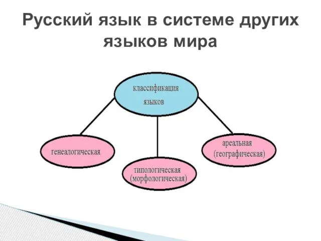 Русский язык в системе других языков мира