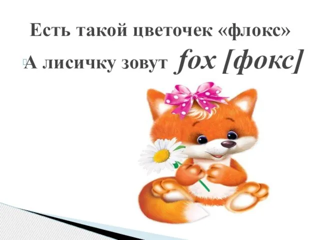 Есть такой цветочек «флокс» А лисичку зовут fox [фокс]