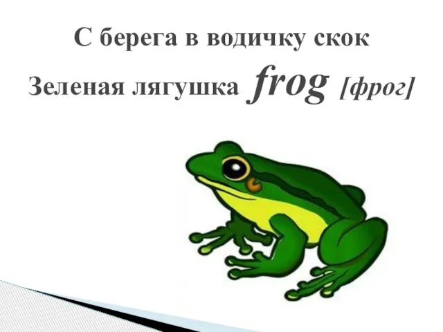 С берега в водичку скок Зеленая лягушка frog [фрог]