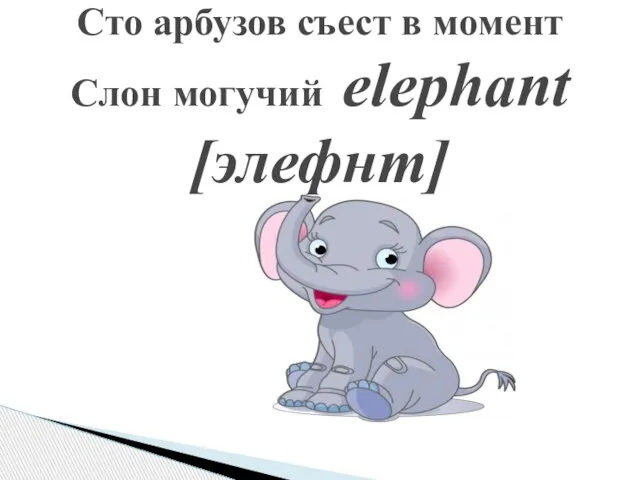 Сто арбузов съест в момент Слон могучий elephant [элефнт]
