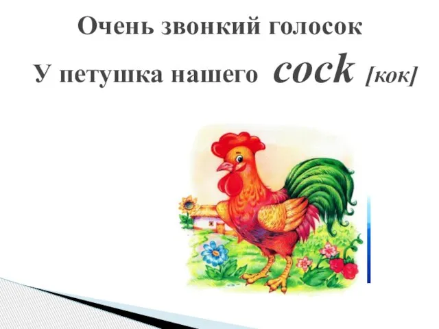 Очень звонкий голосок У петушка нашего cock [кок]