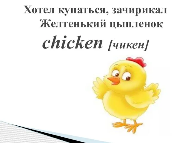 Хотел купаться, зачирикал Желтенький цыпленок chicken [чикен]