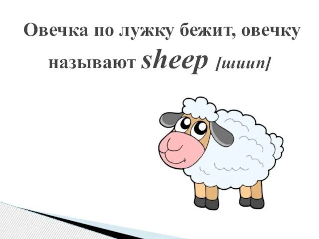 Овечка по лужку бежит, овечку называют sheep [шиип]