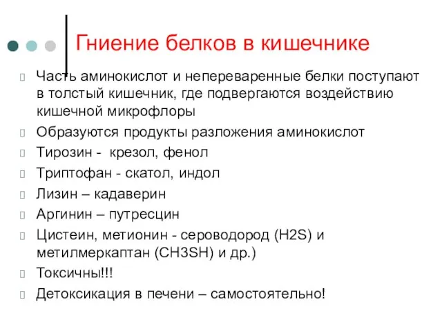 Гниение белков в кишечнике Часть аминокислот и непереваренные белки поступают в толстый