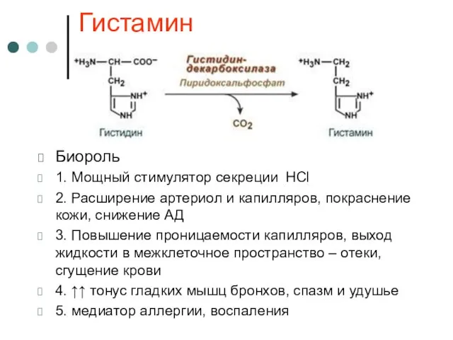 Гистамин Биороль 1. Мощный стимулятор секреции HCl 2. Расширение артериол и капилляров,