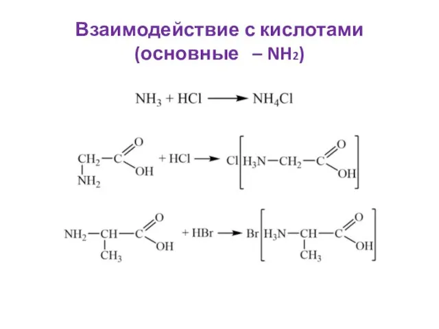 Взаимодействие с кислотами (основные – NH2)