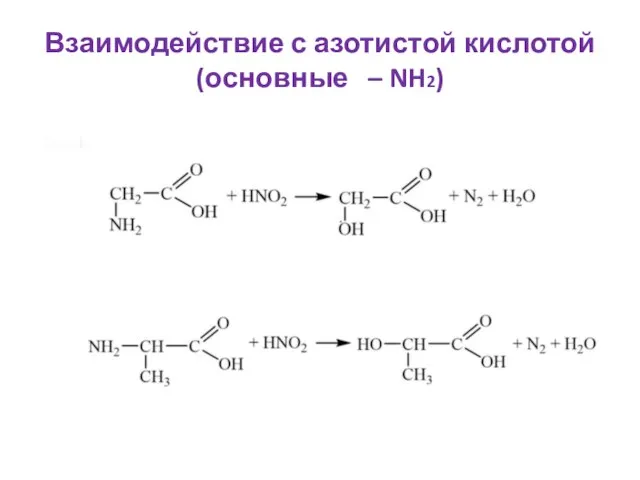 Взаимодействие с азотистой кислотой (основные – NH2)