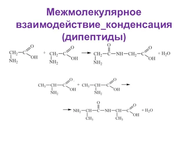 Межмолекулярное взаимодействие_конденсация (дипептиды)