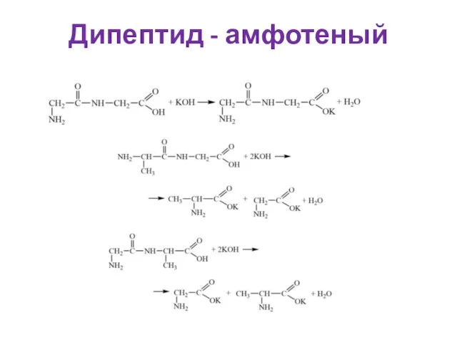 Дипептид - амфотеный